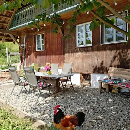 Am Belchen Alojamento de Turismo Rural *