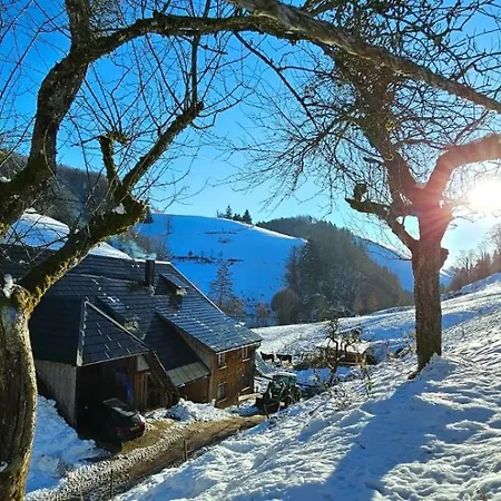 Am Belchen Alojamento de Turismo Rural Bollen